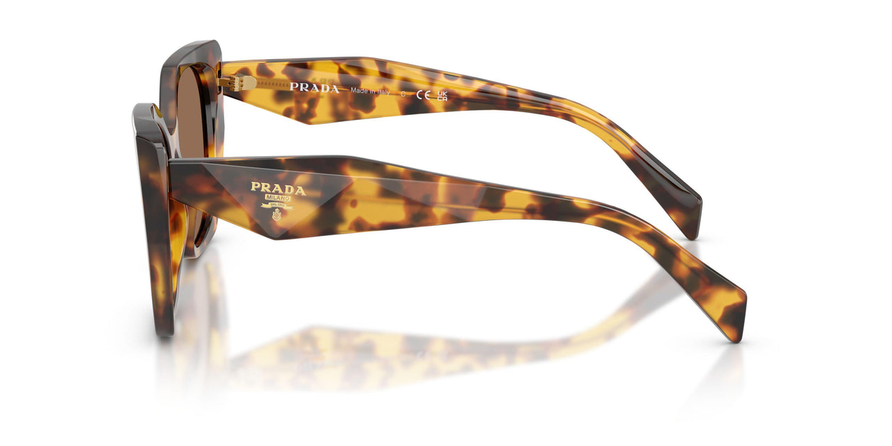 14L06B - Tortoise - Dark Brown
