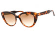 006 - Light Dark Turtle - Brown gradient