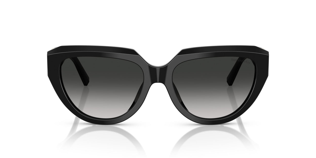 80013C - Black - Grey Gradient
