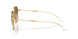 001/51 - Gold - Clear/brown