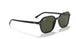 901/31 - Black - G-15 Green