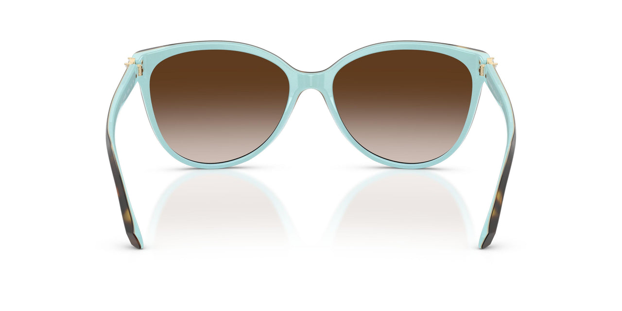 81343B - Havana - Brown Gradient