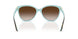 81343B - Havana - Brown Gradient