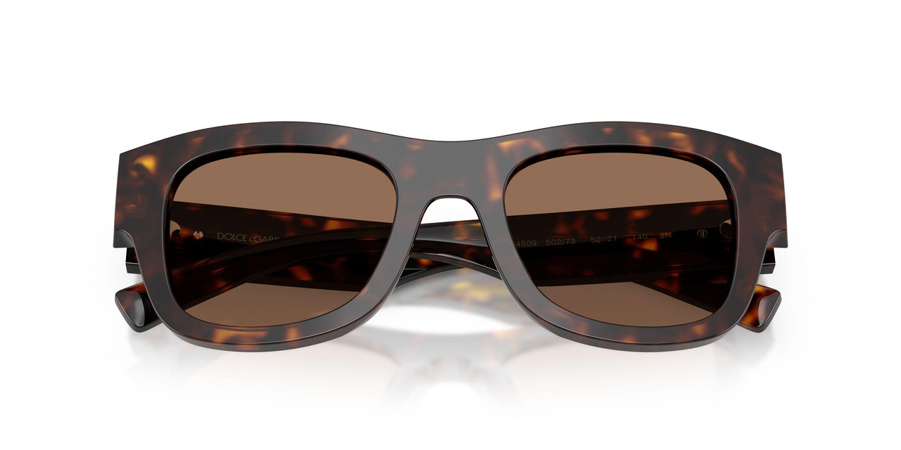 502/73 - Tortoise - Dark Brown