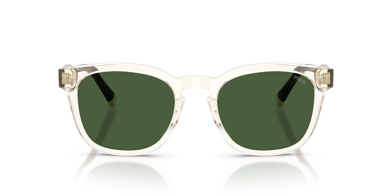 635771 - Yellow - Dark Green