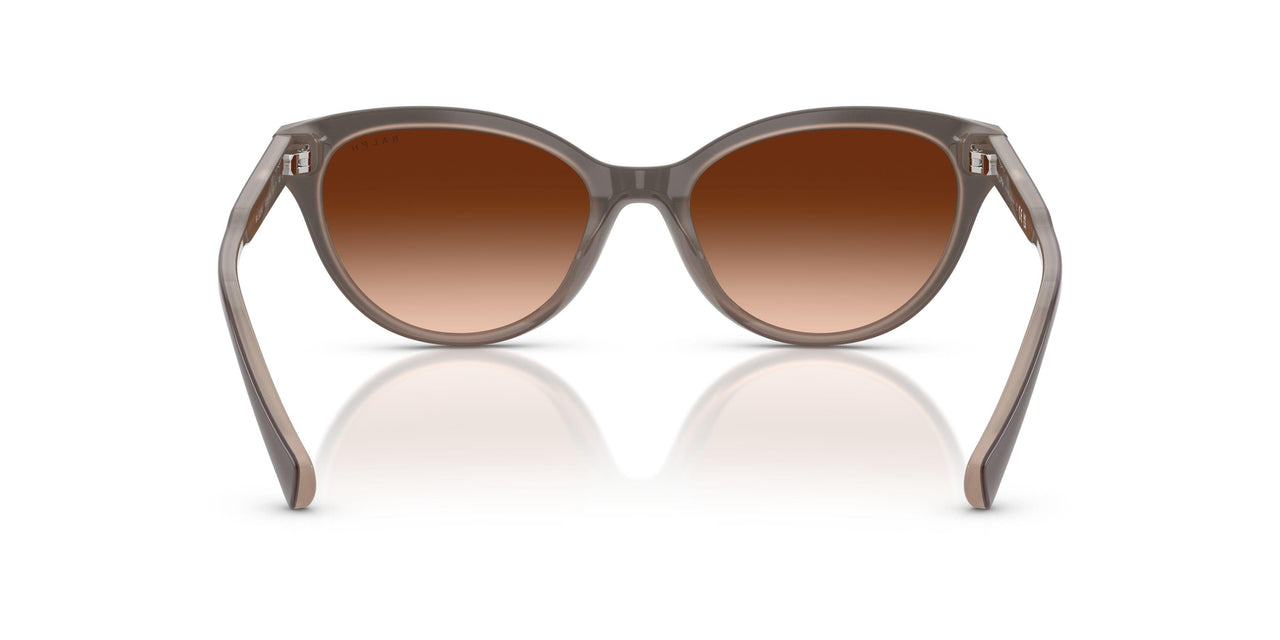 606574 - Brown - Gradient Brown