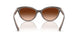 606574 - Brown - Gradient Brown