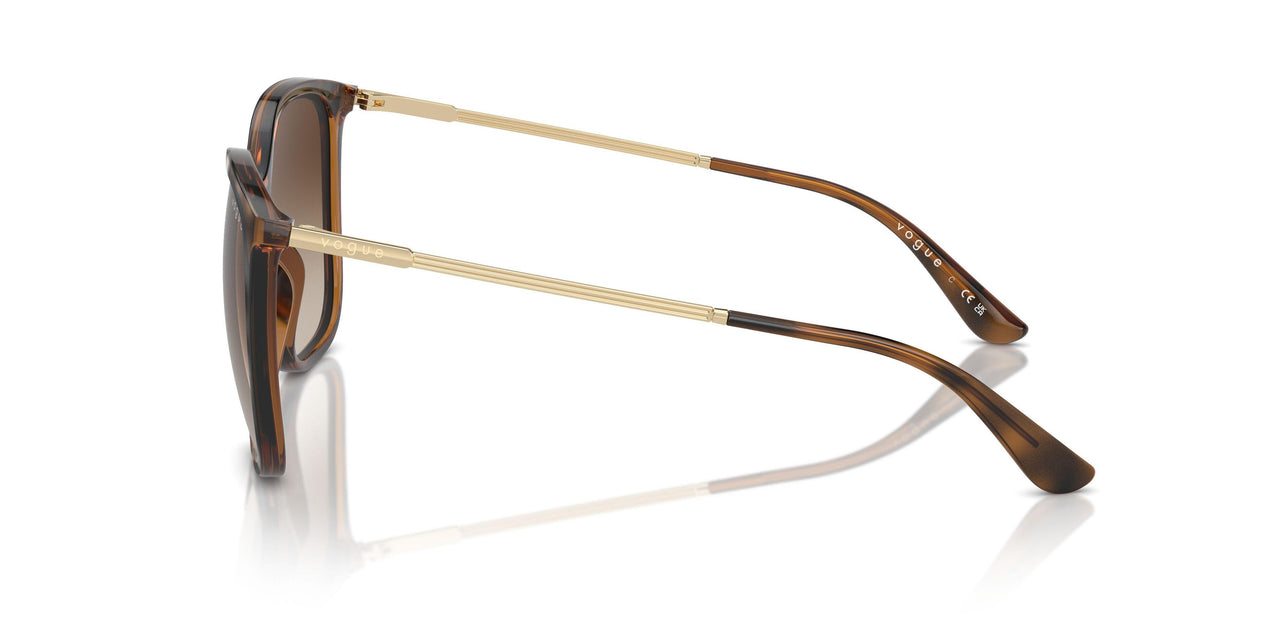 238613 - Brown - Gradient Brown