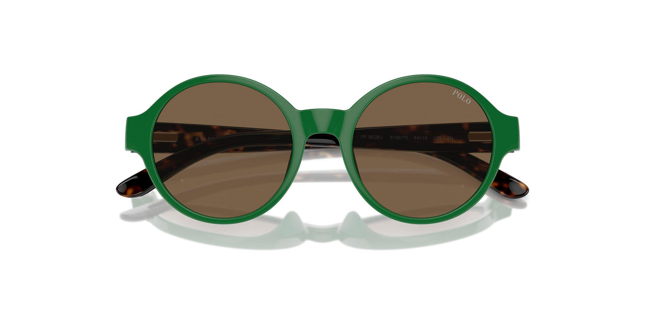 619273 - Green - Brown