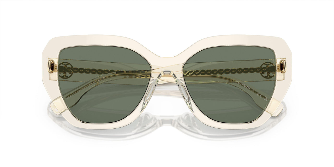 19523H - Transparent - Dark Green