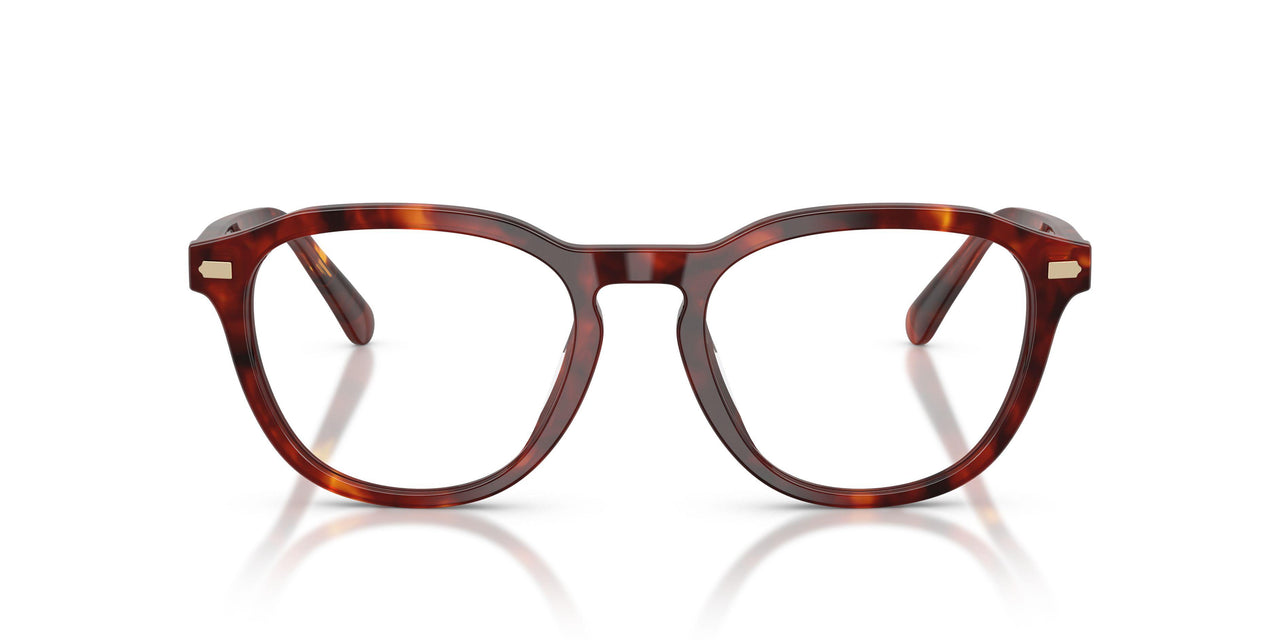 5938 - Tortoise