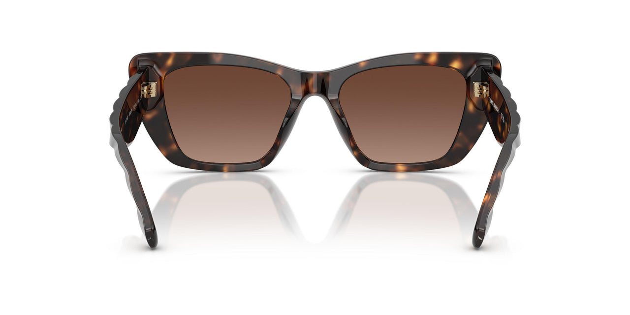1964T5 - Tortoise - Brown Polar