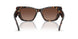 1964T5 - Tortoise - Brown Polar