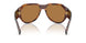 306373 - Tortoise - Bronze