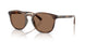 597473 - Tortoise - Dark Brown