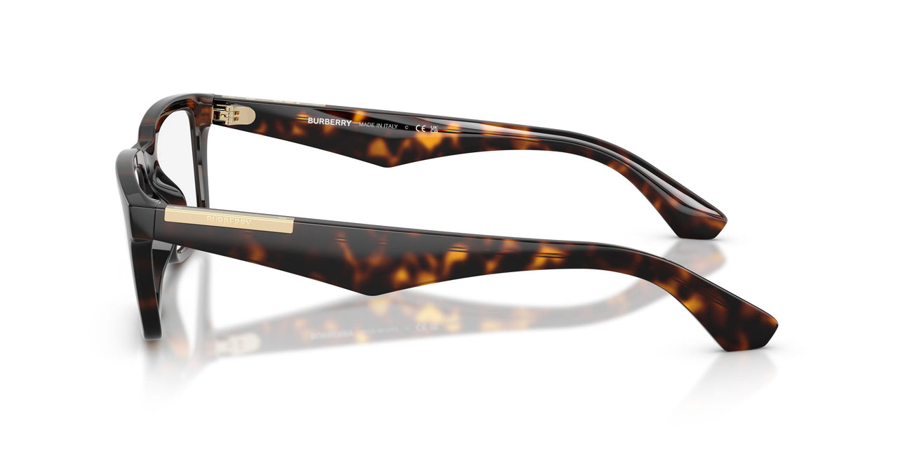 3002 - Brown