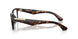 3002 - Brown