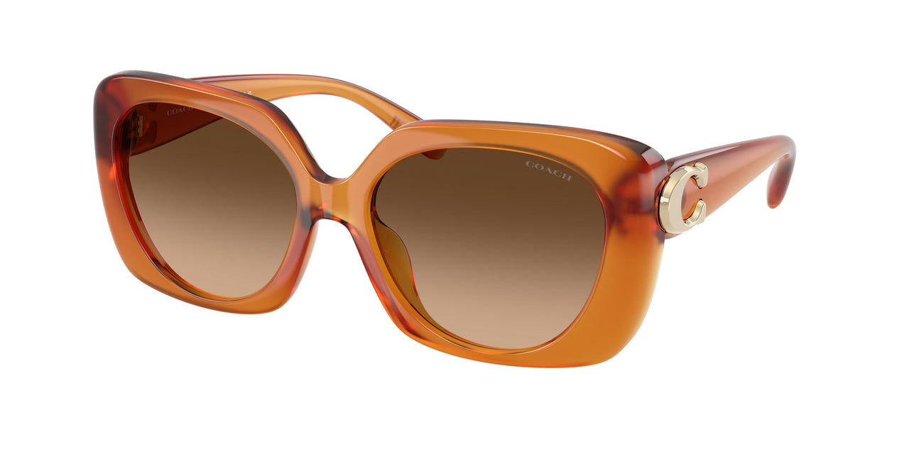 Coach Cad33 8422U Sunglasses