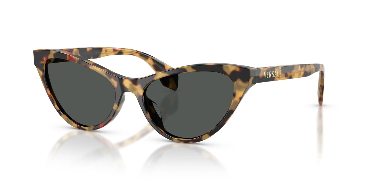 Versace 4522U Sunglasses