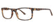 TRTSMTT - Tortoise Matte
