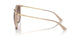 315113 - Brown - Brown Gradient