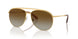 4004T5 - Gold - Polar Gradient Brown
