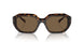 W65673 - Brown - Dark Brown