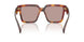 22A20I - Tortoise - Light Purple Brown