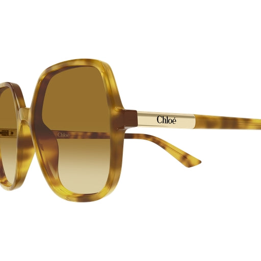004 - Havana - Brown