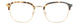TBR - Tortoise/Brown
