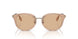 407273 - Brown - Light Brown