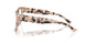 5080 - Tortoise