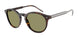587914 - Tortoise - Green
