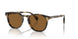171353 - Brown - True Brown