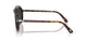 24/48 - Tortoise - Polar Black