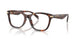 4031 - Tortoise
