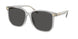 Coach Cw419 8413BD Sunglasses