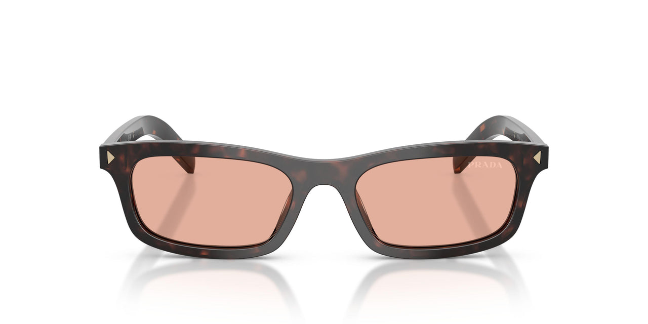17N50W - Tortoise - Pink