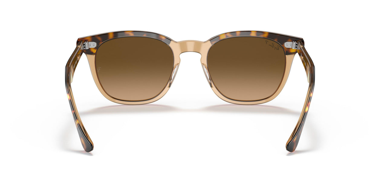 1292M2 - Havana - Brown Gradient Polar