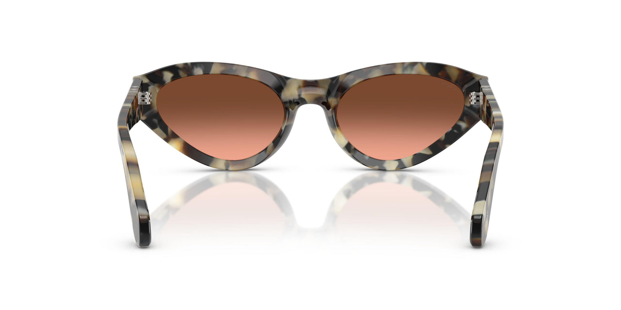 1071A5 - Tortoise - Pink Gradient Brown