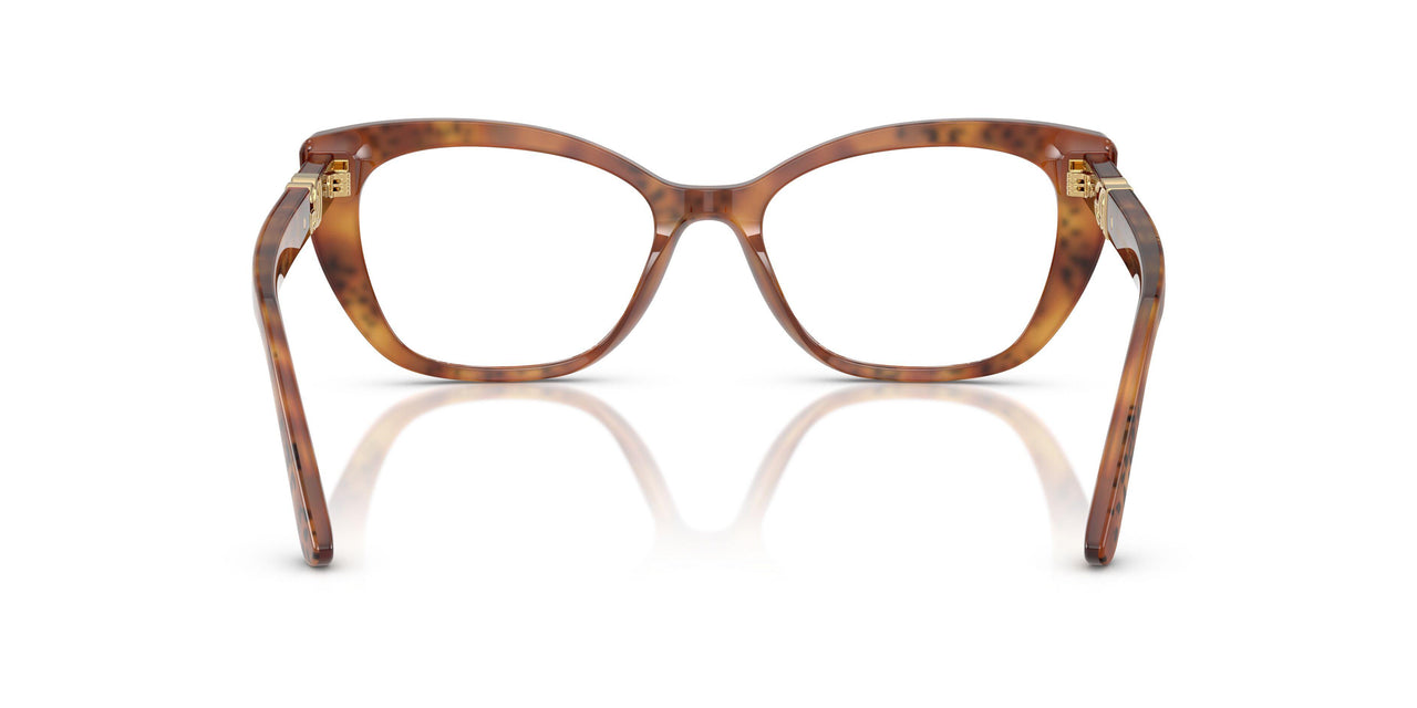 3380 - Tortoise