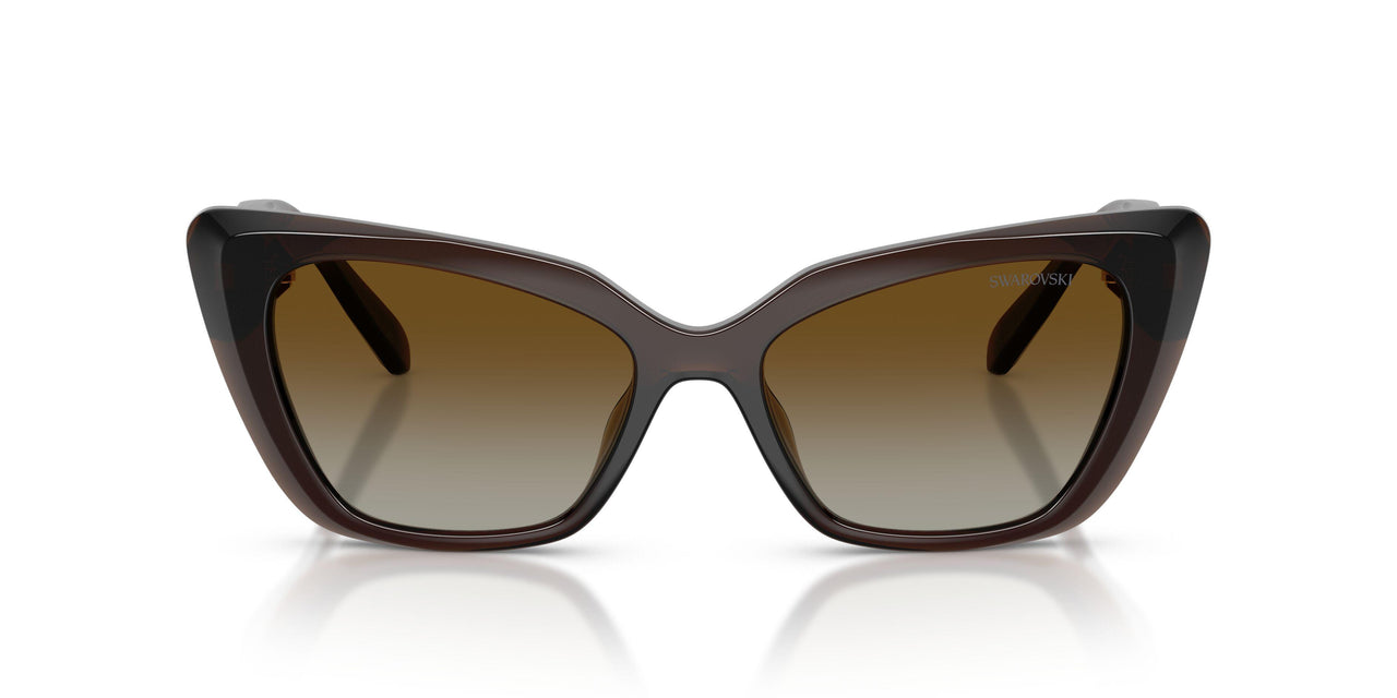 1084T5 - Brown - Polar Brown Gradient