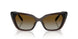 1084T5 - Brown - Polar Brown Gradient