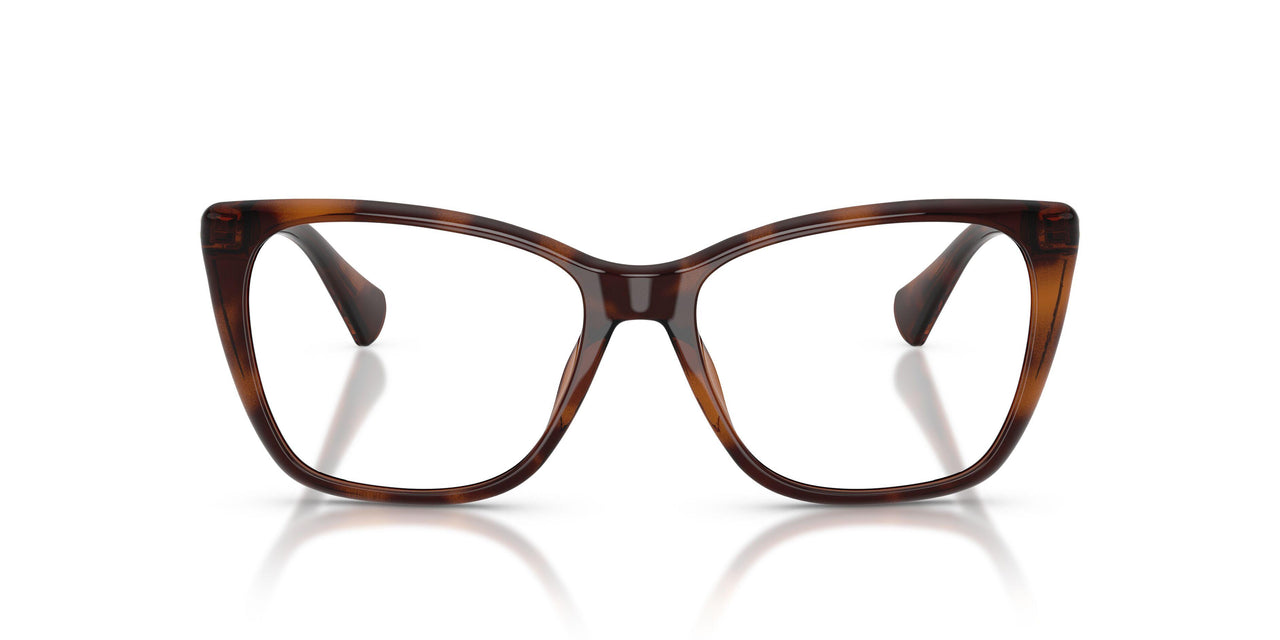 6149 - Tortoise