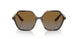 W656T5 - Havana - Polar Brown Gradient