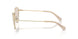 4013M4 - Gold - Brown Photo