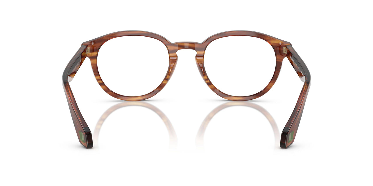 6162 - Tortoise