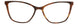 TBL - Tortoise/Blue