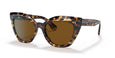 170083 - Tortoise - Brown Polarized