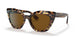 170083 - Tortoise - Brown Polarized